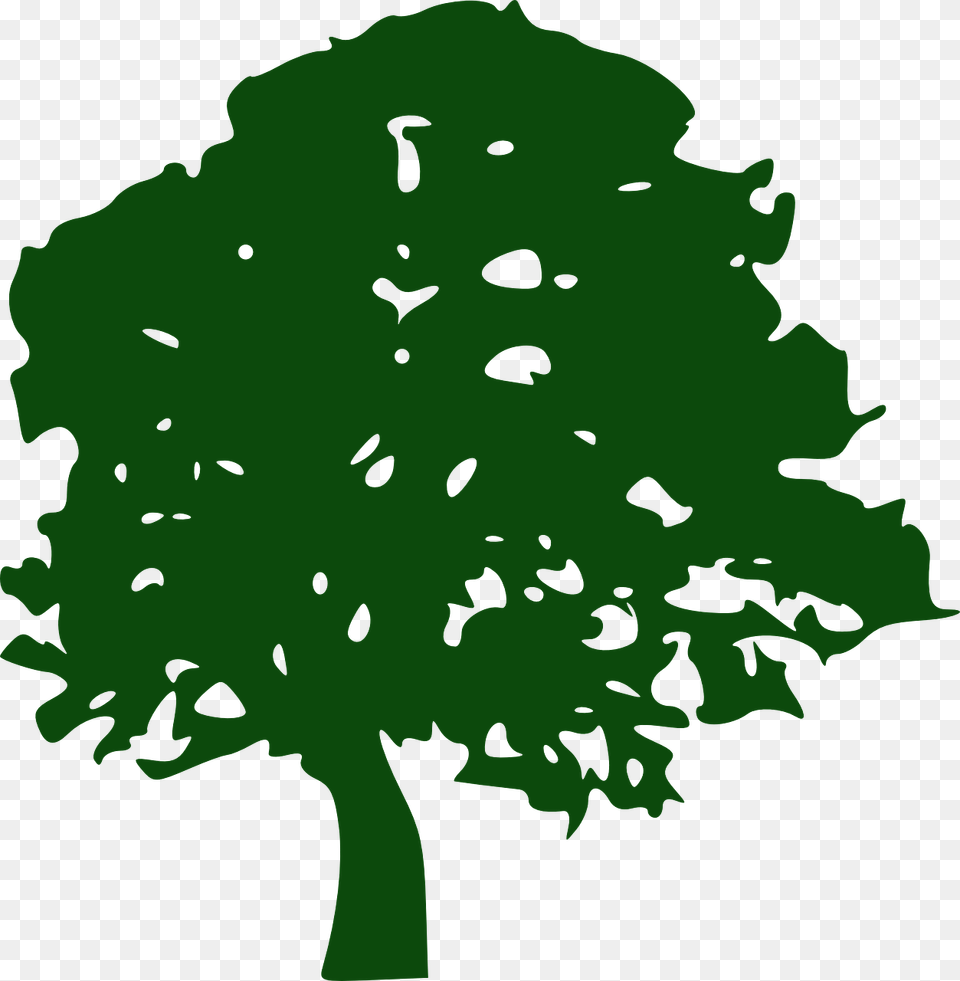Tree Pine Southern Live Oak Clip Art Green Tree Silhouette, Plant, Flower, Sycamore, Person Free Transparent Png