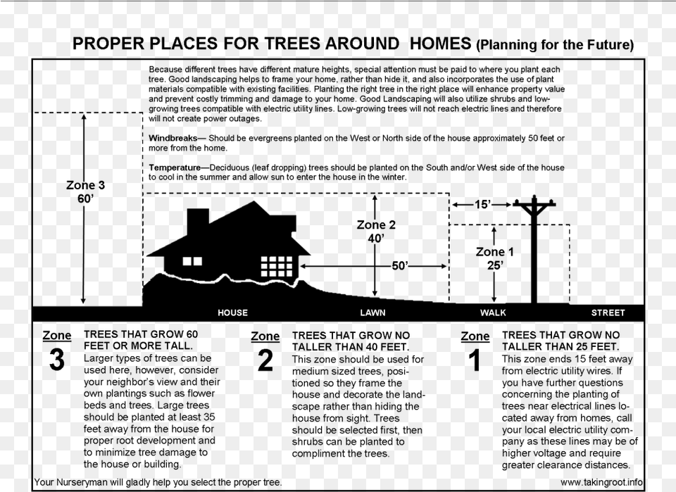 Tree Placement Tree, Cad Diagram, Diagram, Chart, Plan Free Png