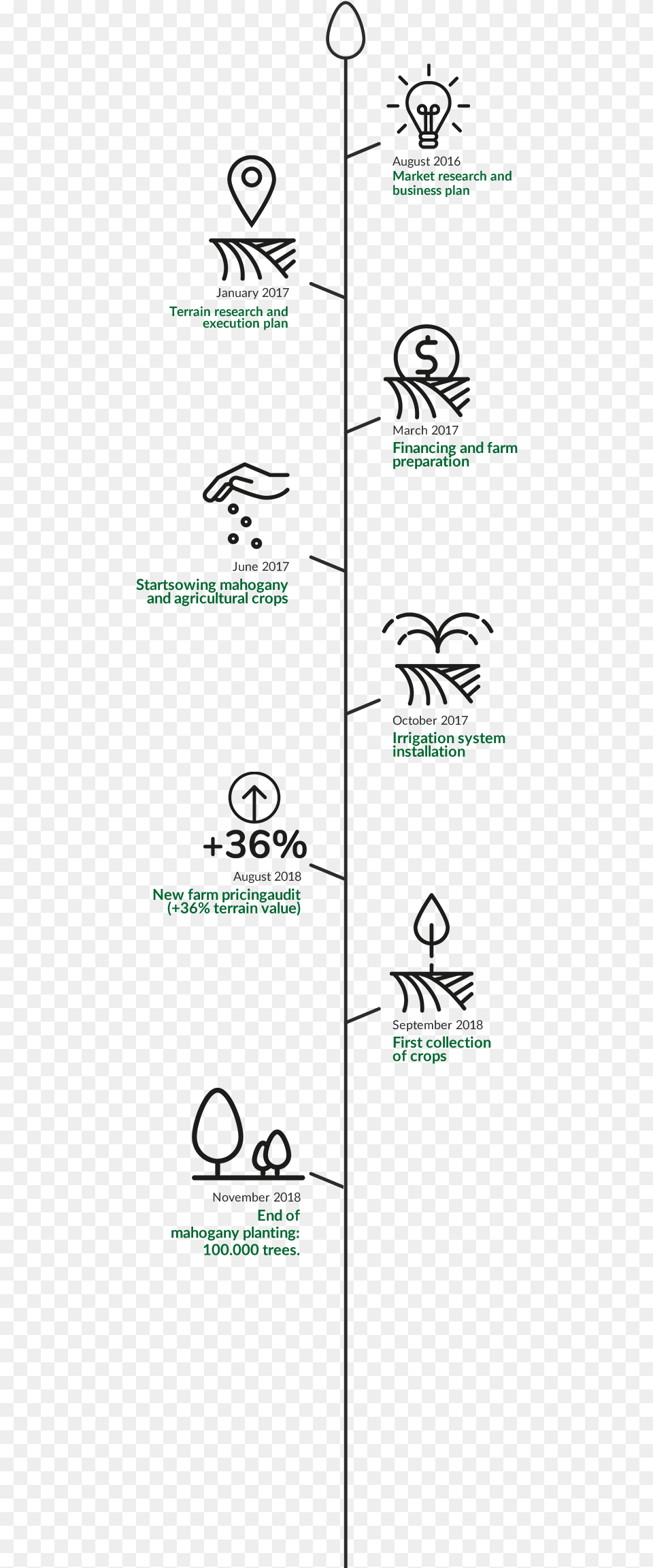 Tree Plan Black And White, Utility Pole Free Transparent Png