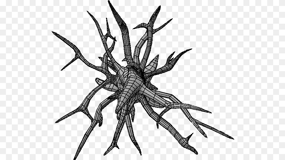 Tree Plan View, Art, Animal, Invertebrate, Spider Png