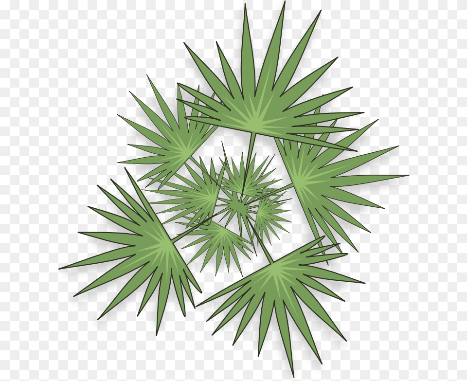 Tree Plan View Palm Trees, Green, Plant, Art, Graphics Png Image