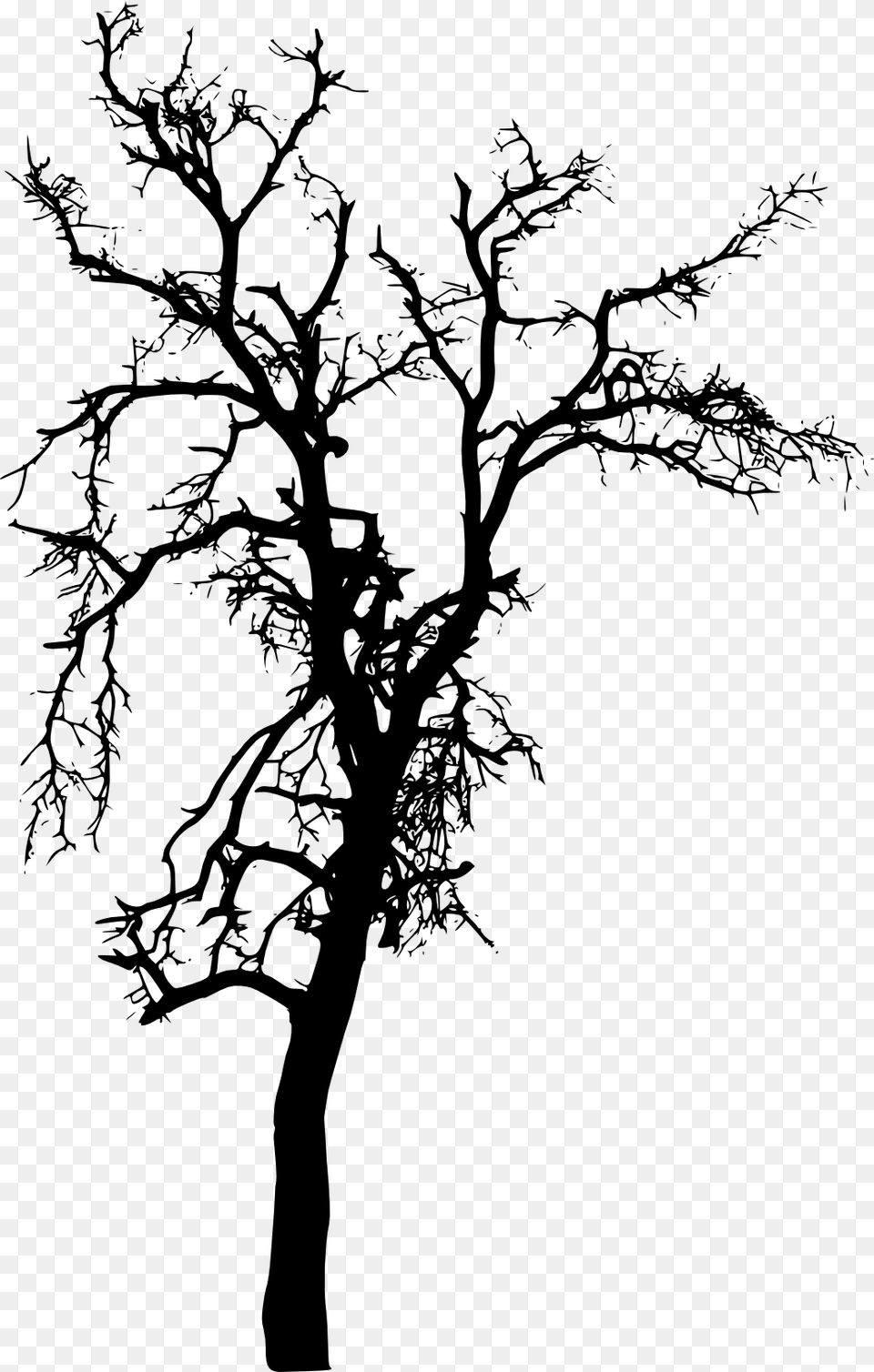 Tree Plant Branch Silhouette Silhouette Tree Images, Art, Drawing Png