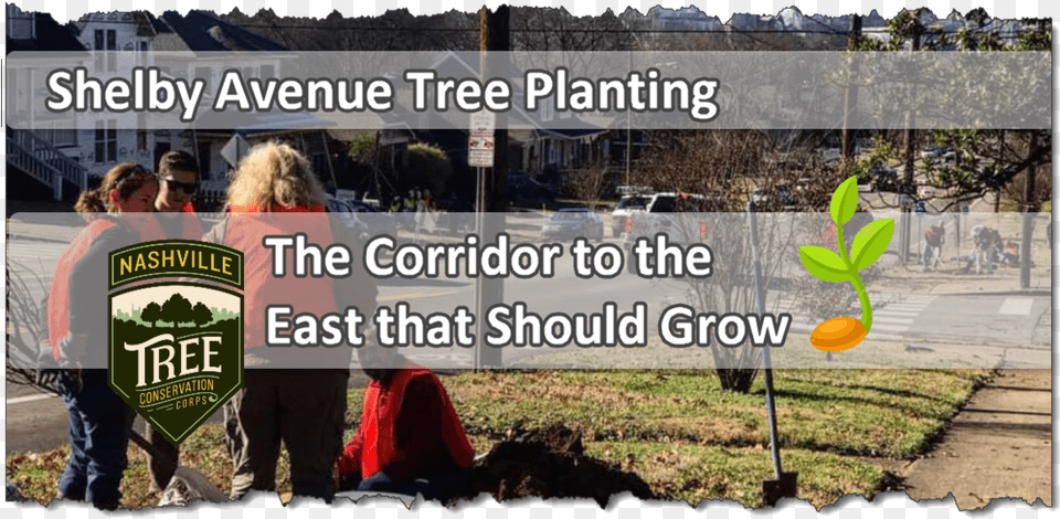 Tree Planting Project Sidewalk, Walking, Plant, Person, Grass Png