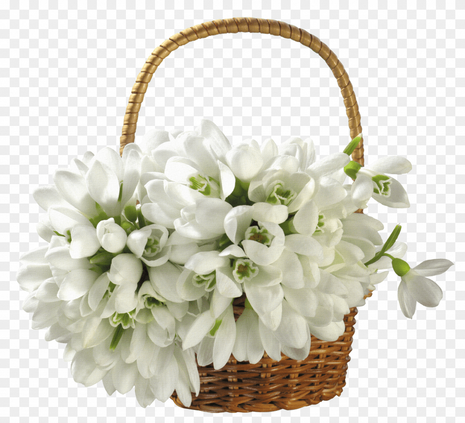 Tree Plants Amp Flower White Flower Basket, Flower Arrangement, Flower Bouquet, Plant Free Png
