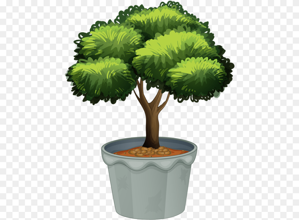 Tree Pot Plant Clipart, Potted Plant, Vegetation, Bonsai Free Transparent Png