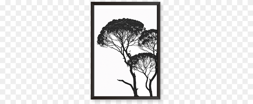 Tree Pretty Black And White Art, Silhouette, Drawing, Plant Png Image