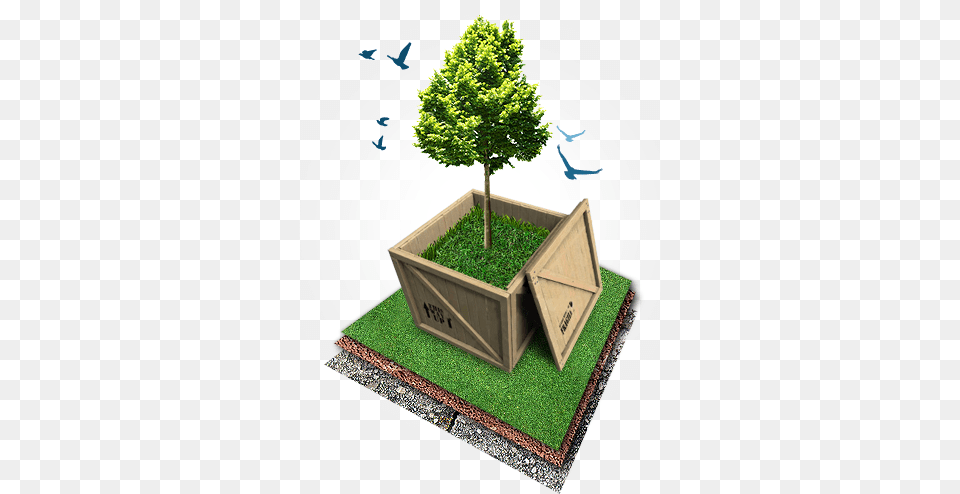 Tree Protection Foreign Operation Methods Theory Analysis Strategy, Vase, Pottery, Jar, Potted Plant Png Image