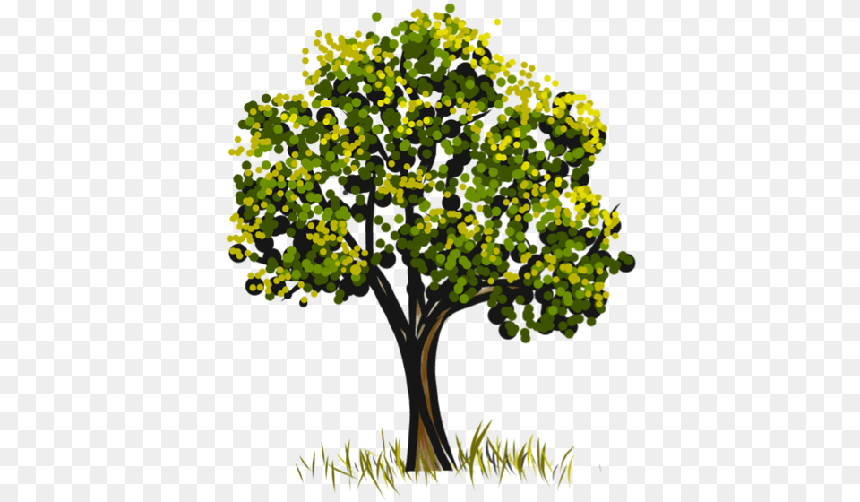 Tree Psd Vector, Oak, Plant, Sycamore, Tree Trunk Free Transparent Png