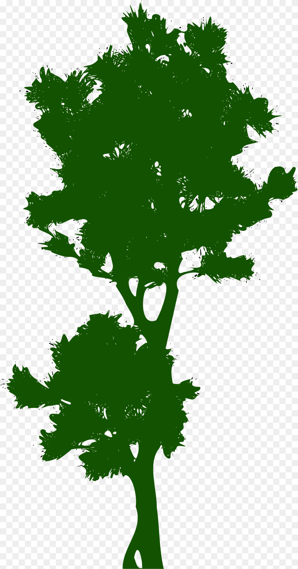 Tree Public Domain Clip Art Pohon Tinggi Vektor, Herbs, Leaf, Plant, Parsley Free Transparent Png
