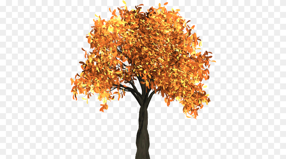 Tree Quality Background Autumn Tree Clipart, Leaf, Maple, Plant Free Transparent Png