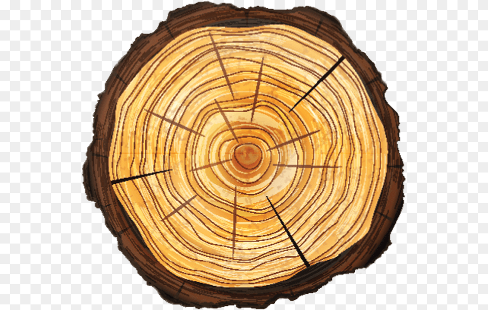 Tree Removal Alpharetta Ga Top Tree Stump, Lumber, Plant, Wood, Tree Trunk Png
