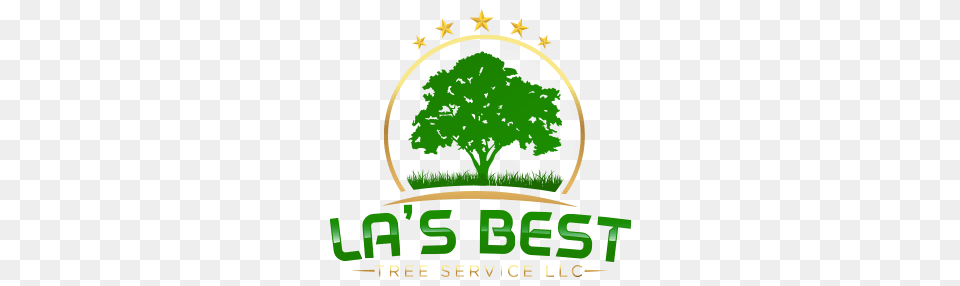 Tree Removal And Tree Stump Grinding Services In La, Plant, Vegetation, Advertisement, Poster Png Image