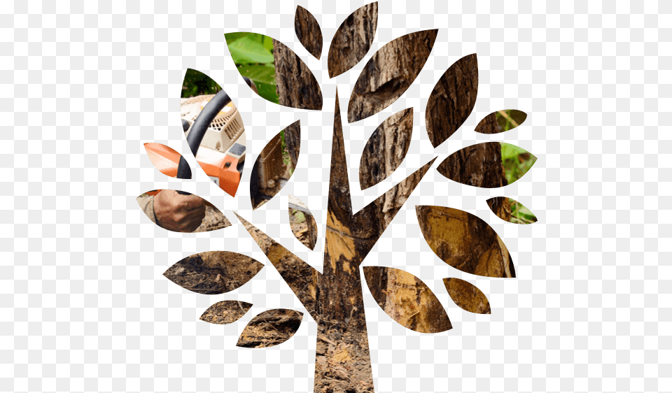 Tree Removal U0026 Pruning Experts Wright Service Great Value Icon, Wood, Art, Collage, Plant Free Png
