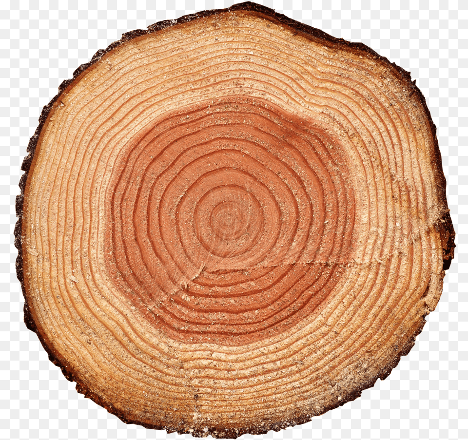 Tree Rings, Lumber, Plant, Wood, Tree Trunk Png