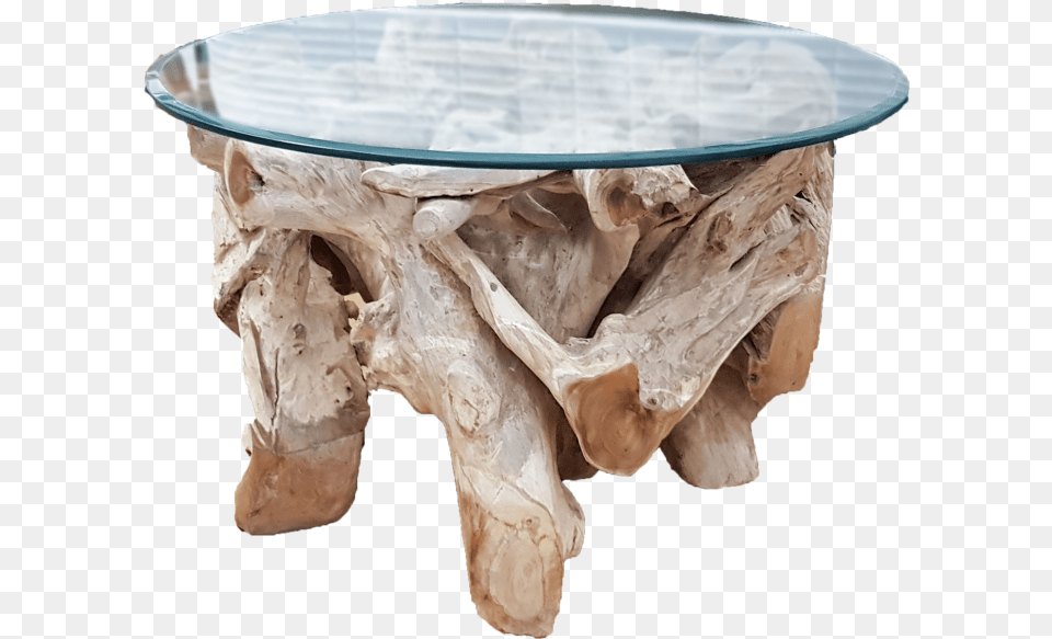 Tree Root Coffee Table A With Serious Roots Inside Furniture, Wood, Coffee Table, Tabletop, Driftwood Png Image