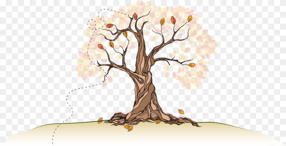 Tree Root Illustration, Plant, Potted Plant, Art, Wedding Png Image