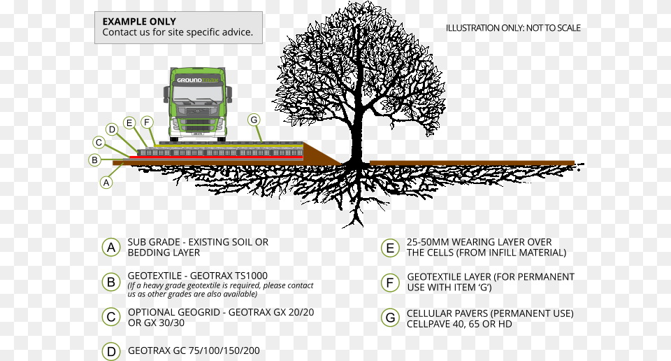 Tree Root Protection U2013 Example Groundtrax Cellular Confinement System, Computer, Electronics, Computer Hardware, Hardware Png