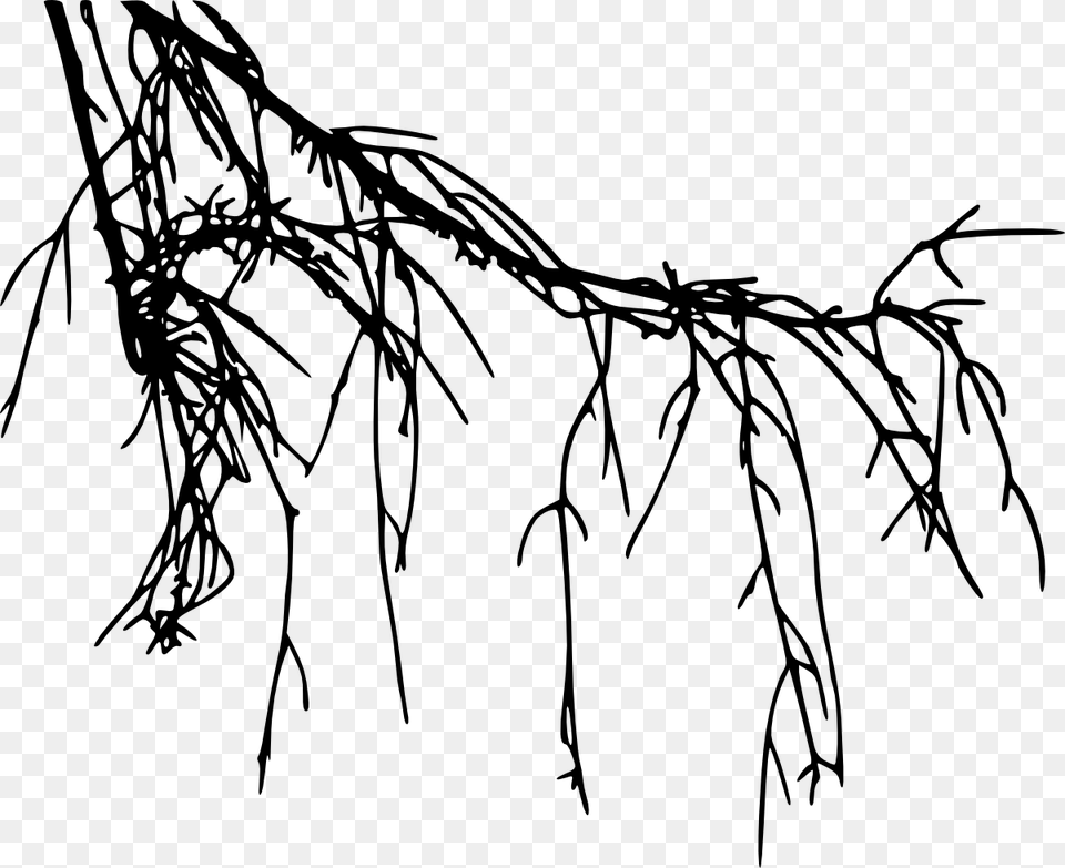 Tree Root Silhouette, Plant, Art, Drawing, Grass Png Image