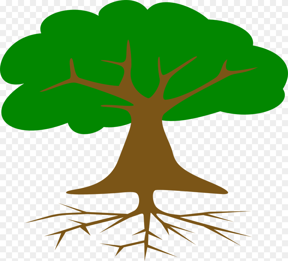 Tree Roots And Leaves Drawed Imagenes De Un Arbol Con Raices, Animal, Fish, Sea Life, Shark Free Png Download