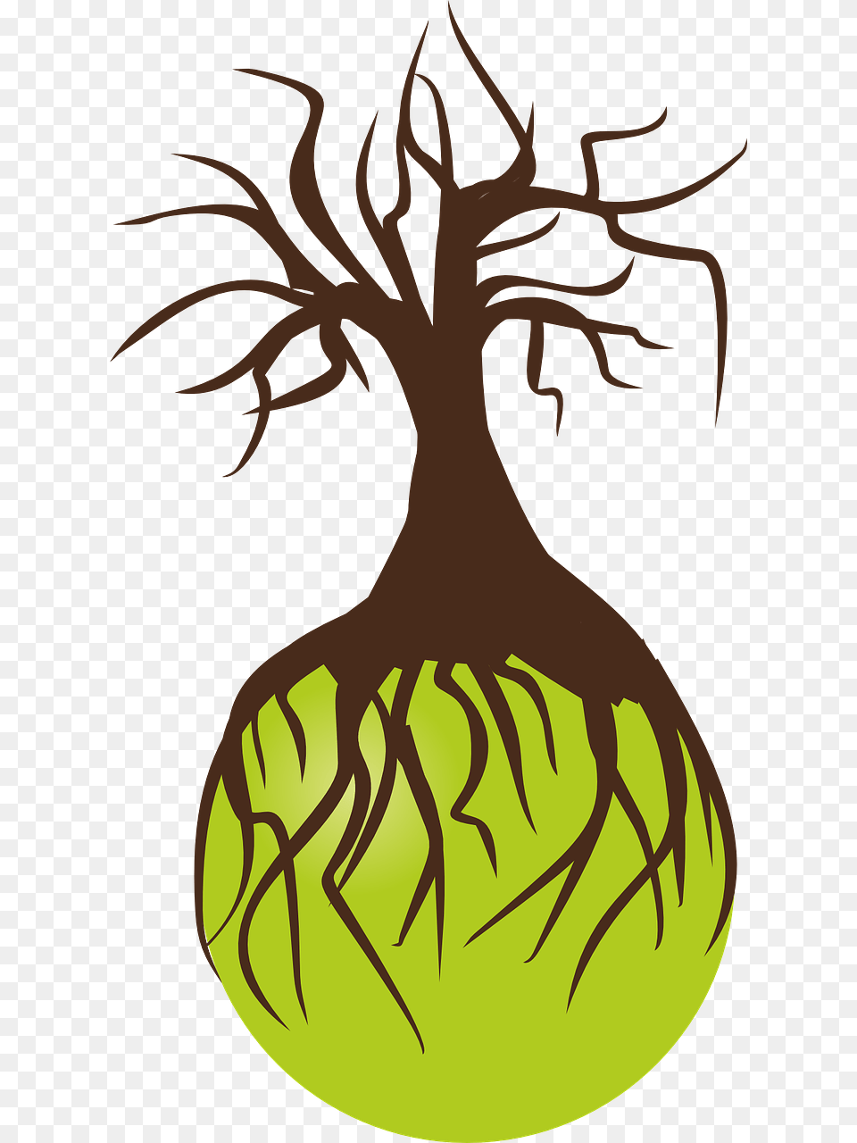 Tree Roots Background Transparent, Plant, Root, Person Png Image