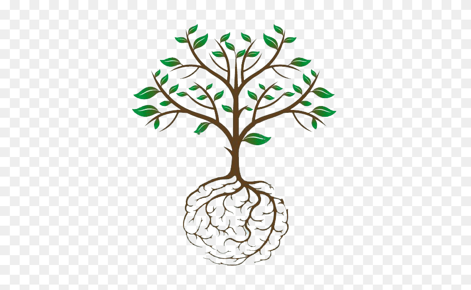 Tree Roots Brain Root Tree, Plant, Annonaceae, Art, Herbal Free Transparent Png