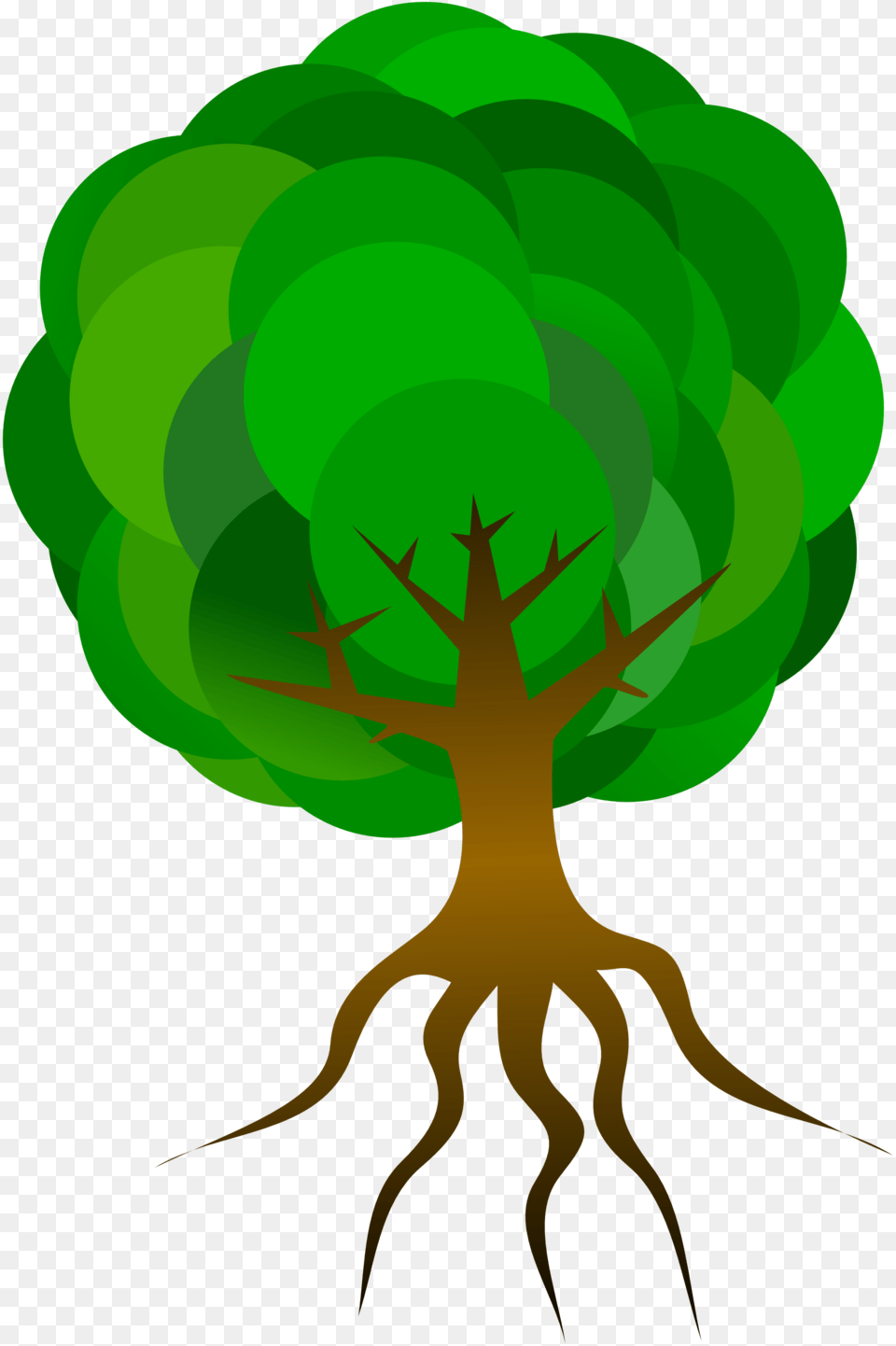 Tree Roots Cartoon, Green, Plant, Root Free Png