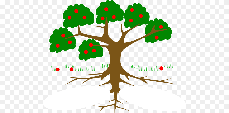 Tree Roots Cliparts, Plant, Vegetation, Root, Leaf Png Image