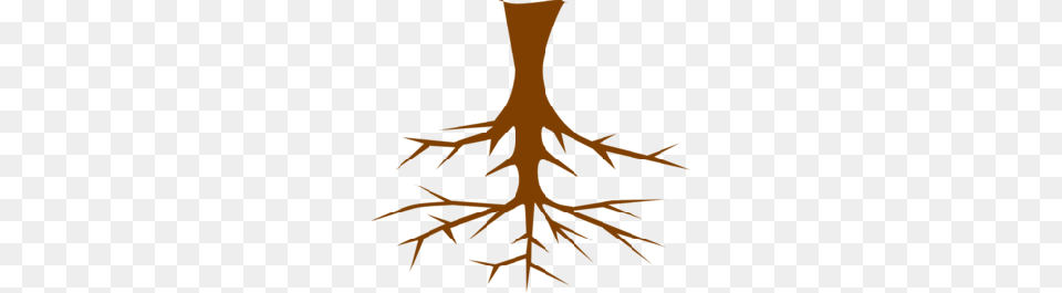Tree Roots Cliparts, Plant, Root, Person Free Png Download