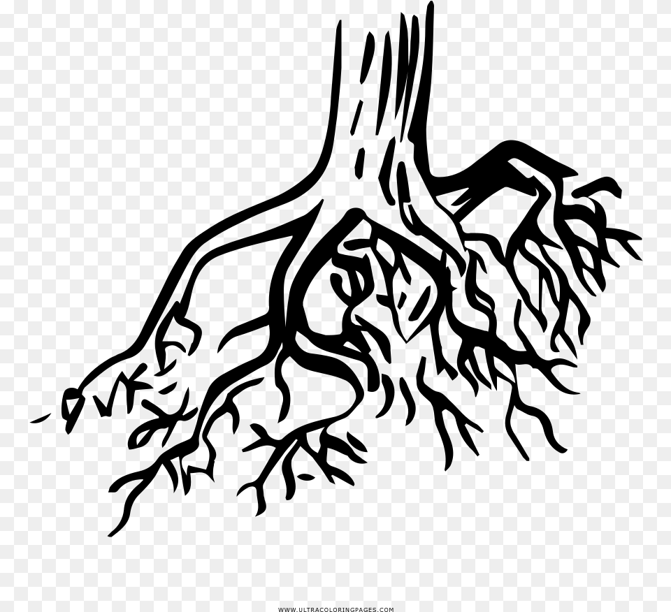 Tree Roots Coloring Page, Gray Free Png