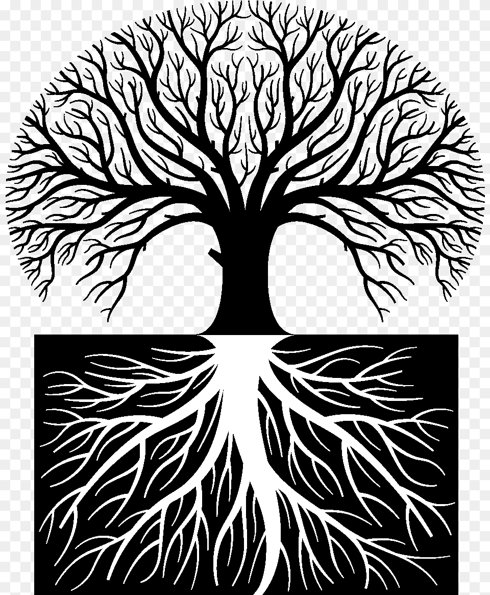 Tree Roots For Kids Silhouette Tree With Roots, Stencil, Person, Plant, Root Png