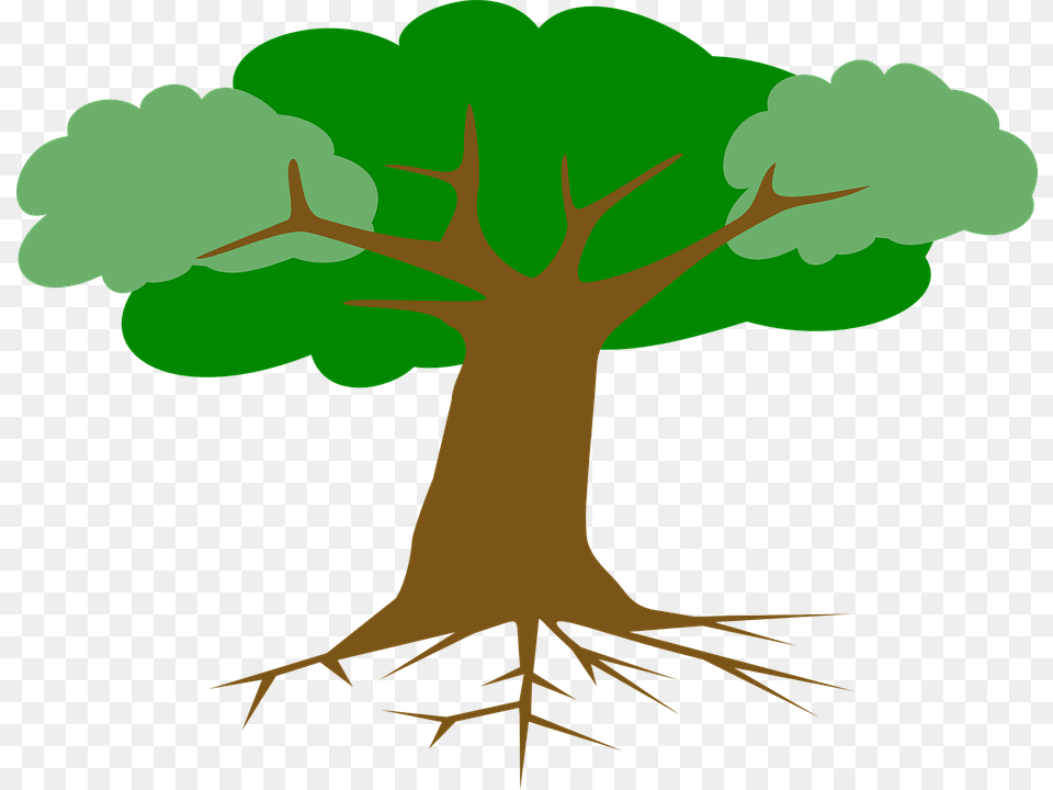 Tree Roots Leaves Cross Section Plant Branches Trees With Roots Clipart, Root, Vegetation Free Png
