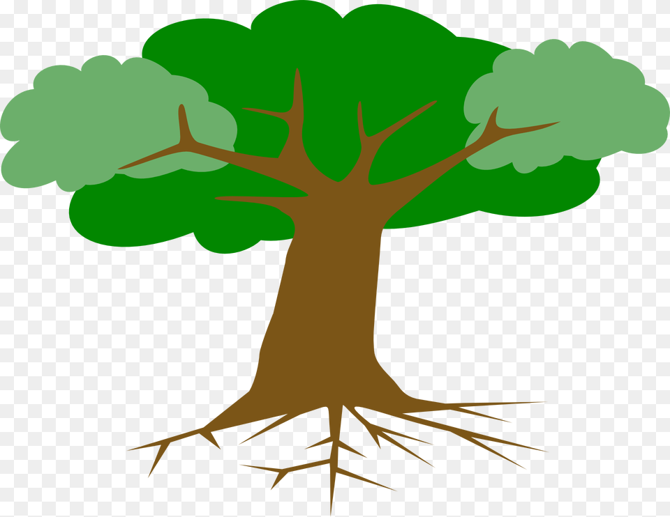 Tree Roots Leaves Cross Trees With Roots Clipart, Plant, Animal, Fish, Sea Life Png Image
