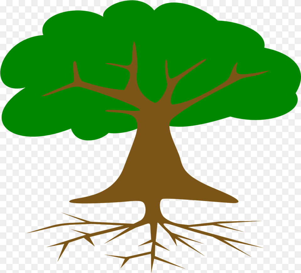 Tree Roots Leaves Cross Vector Graphic On Pixabay Parts Of Tree In English, Plant, Animal, Fish, Sea Life Free Transparent Png