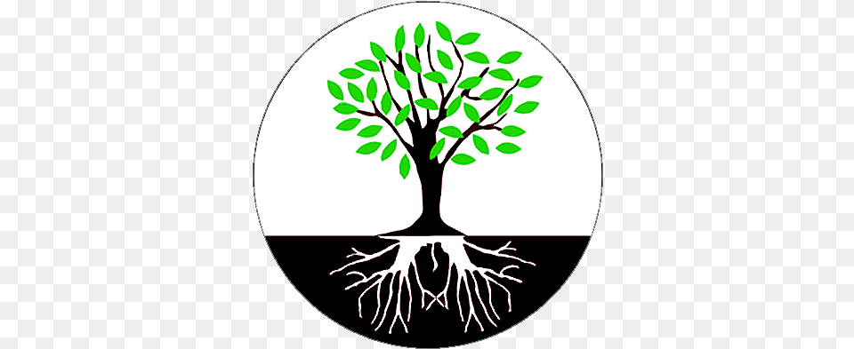 Tree Roots Root Cause Not Symptoms, Plant, Stencil, Animal, Mammal Free Png