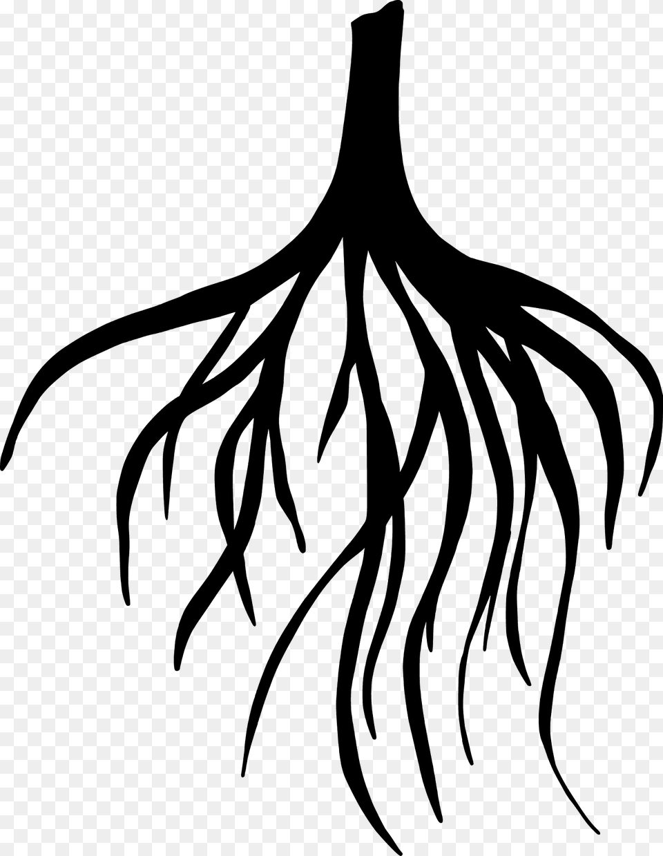 Tree Roots Silhouette, Plant, Root, Animal, Fish Free Png Download