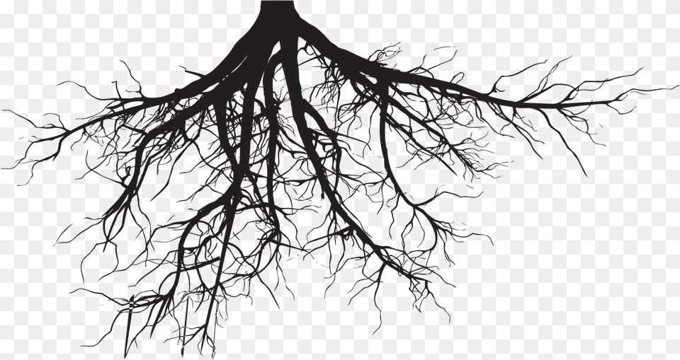 Tree Roots Silhouette, Plant, Root Free Png Download