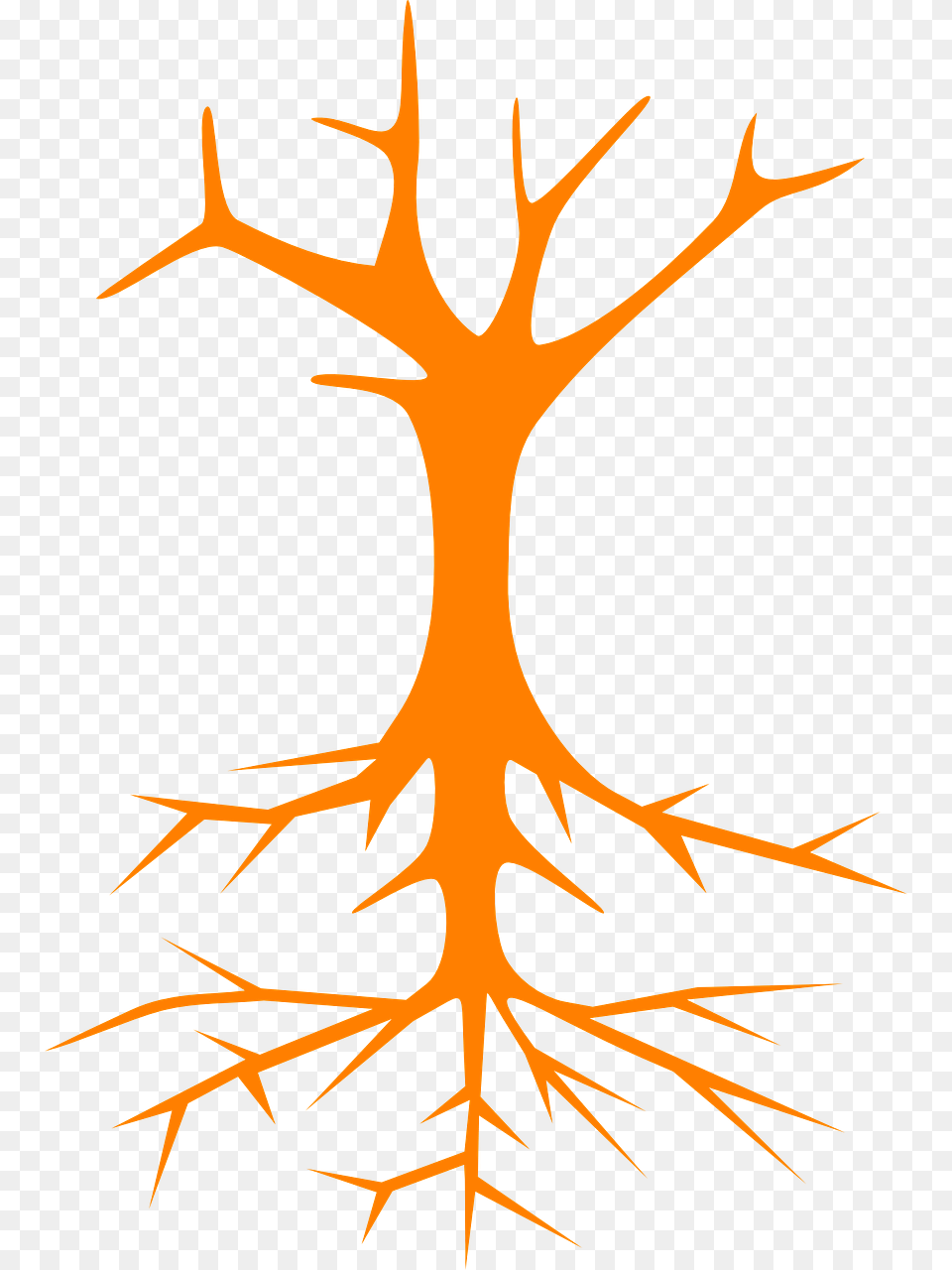 Tree Roots Stem Branches Naked, Antler, Leaf, Plant, Animal Free Png