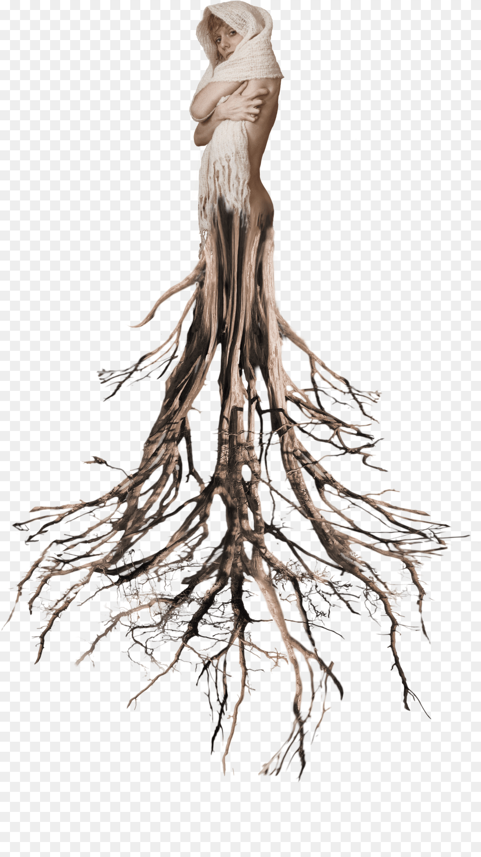 Tree Roots Surreal Woman Tumblr Ftestickers, Adult, Person, Man, Male Png Image