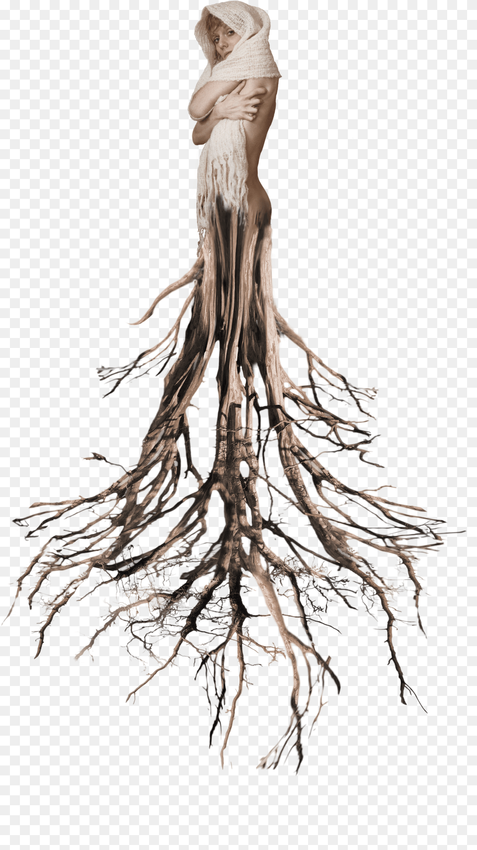 Tree Roots Surreal Woman Tumblr Tree Root Free Transparent Png