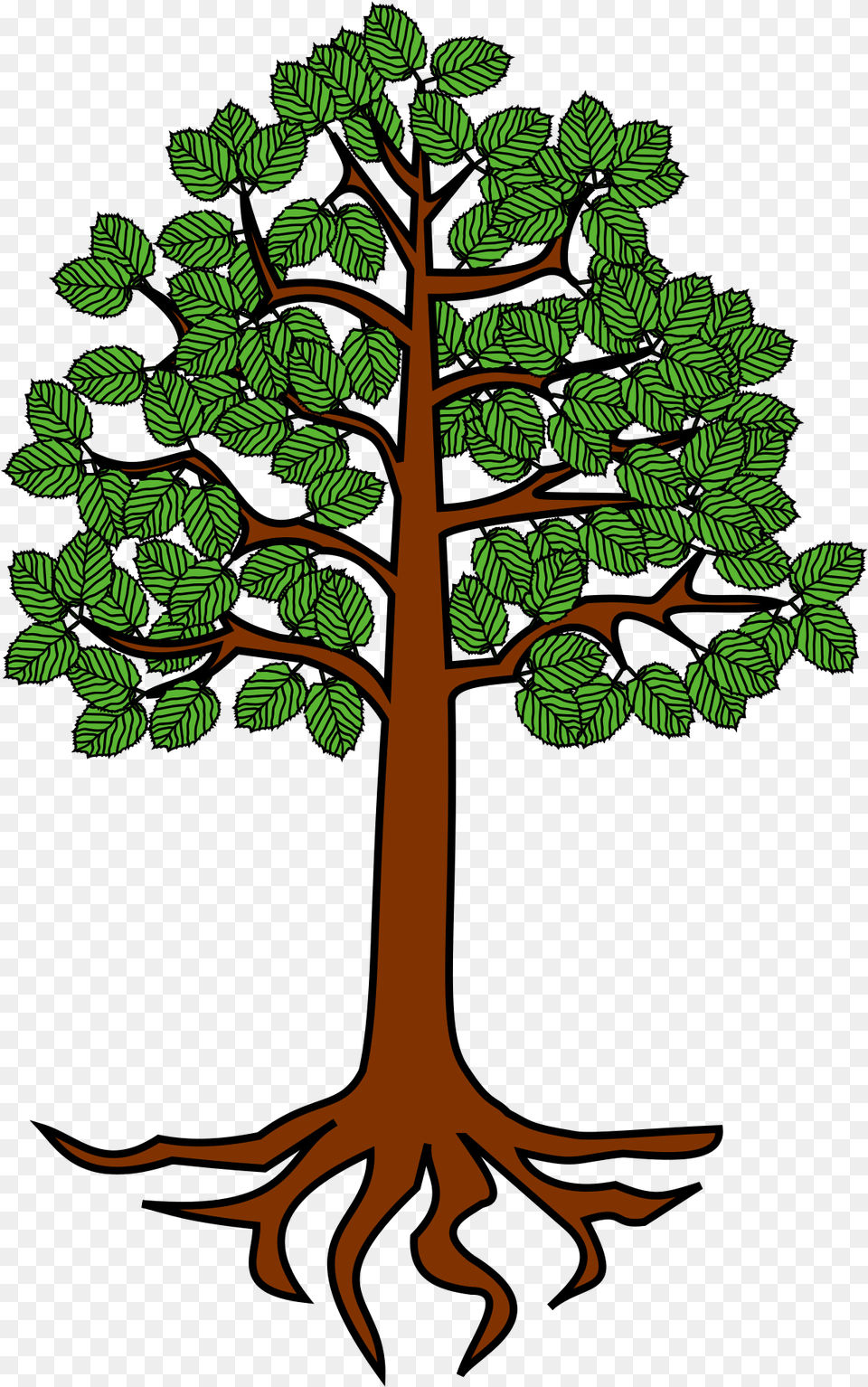 Tree Roots Transparent Clipart Tree With Root Clipart, Plant, Vegetation, Land, Nature Free Png