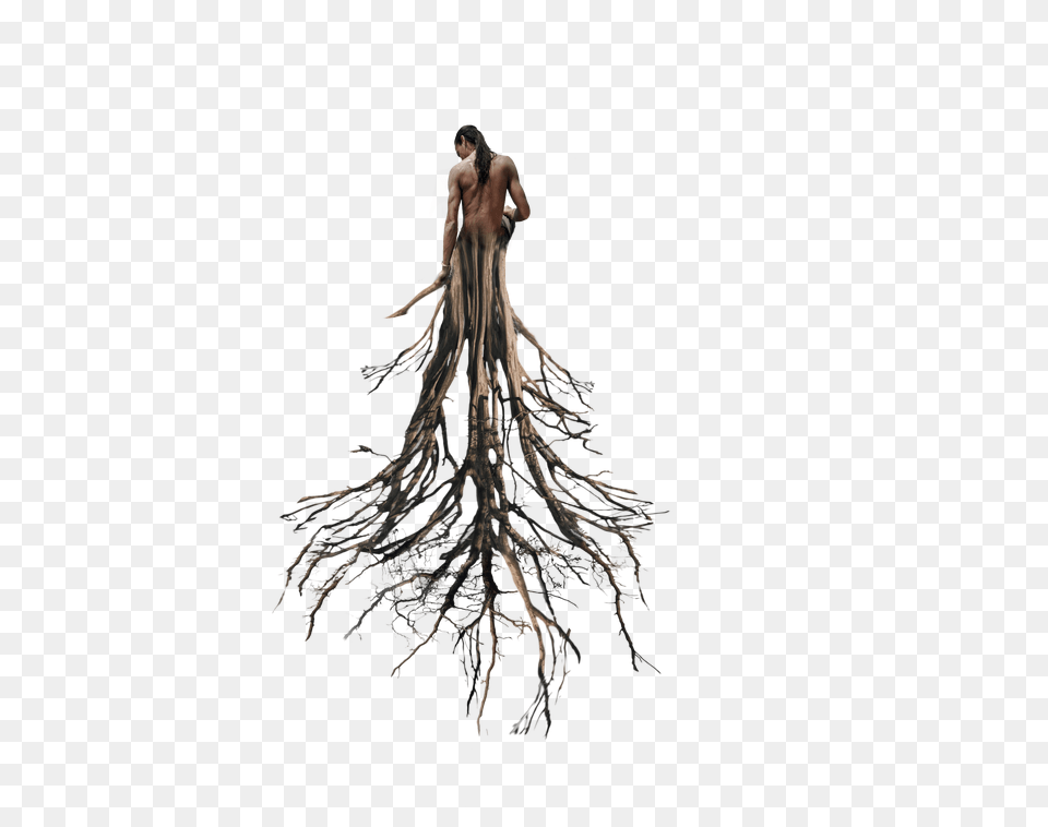 Tree Roots Tree Roots The Writing Tree Old House, Clothing, Dress, Fashion, Formal Wear Free Transparent Png