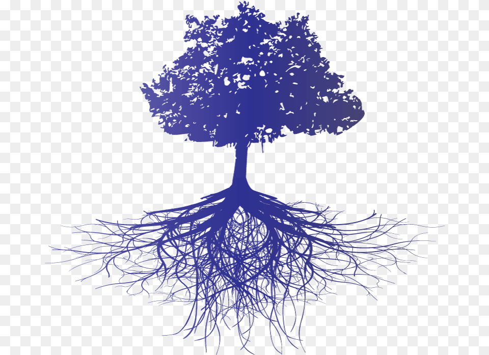 Tree Roots White Pine Vippng Tree Root Silhouette Purple, Plant Free Png