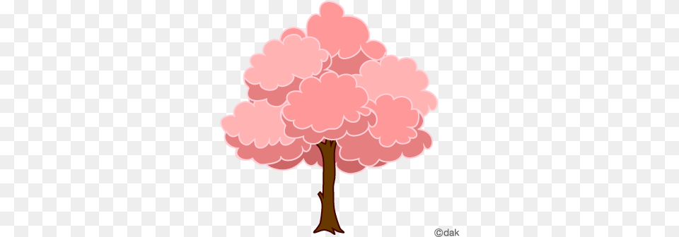 Tree Sakura Cherry Blossom Tree Icon, Chandelier, Flower, Lamp, Plant Free Png