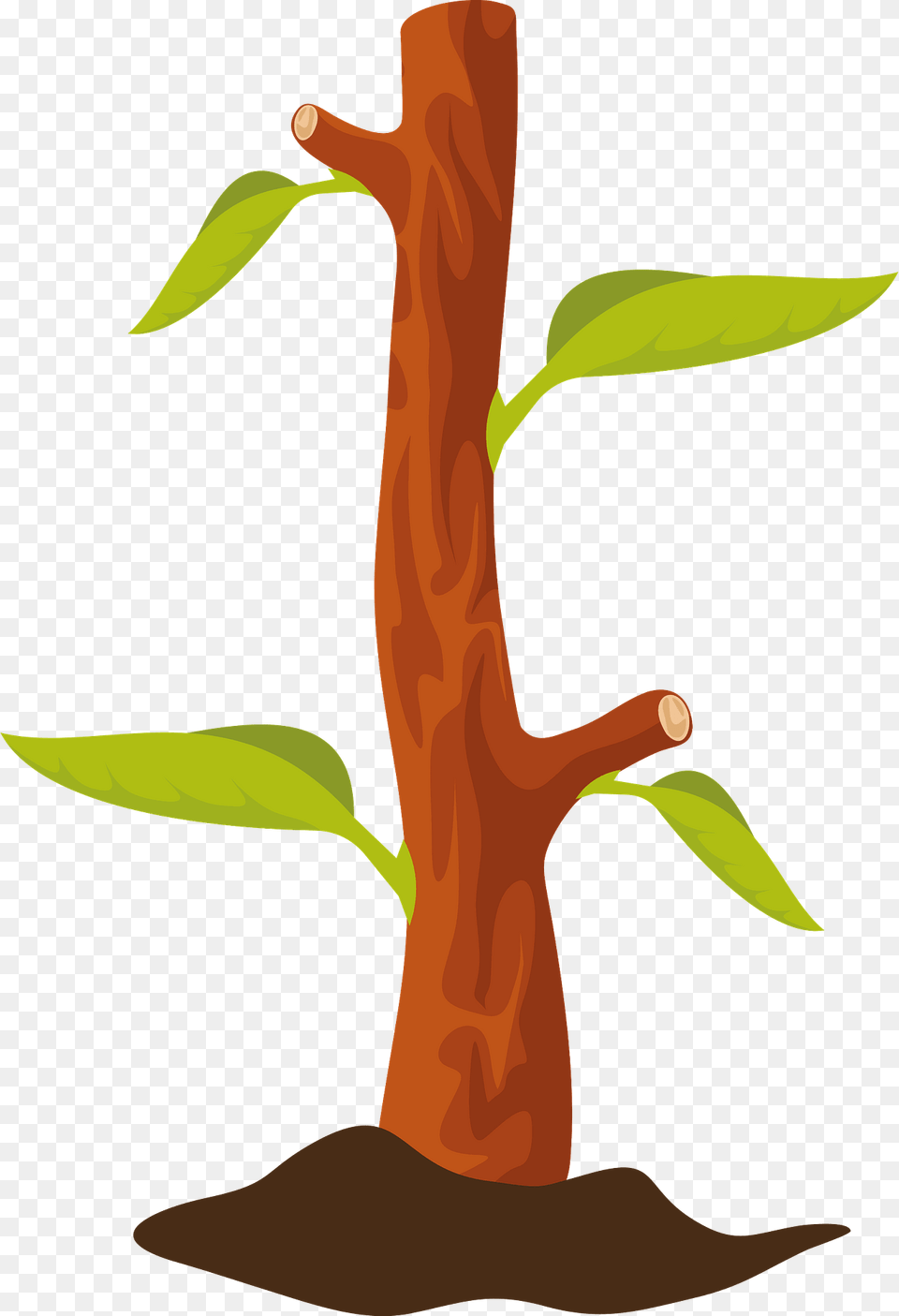 Tree Seeding Clipart, Plant, Tree Trunk, Vegetation, Cross Free Png