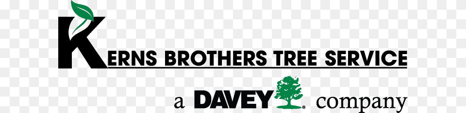 Tree Service Davey Tree Service, Logo, Leaf, Plant, Green Png