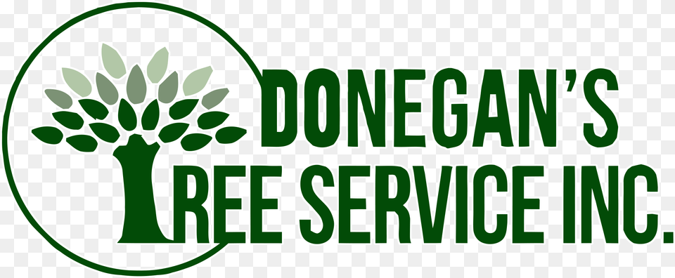Tree Service Illustration, Green, Herbal, Herbs, Plant Free Transparent Png
