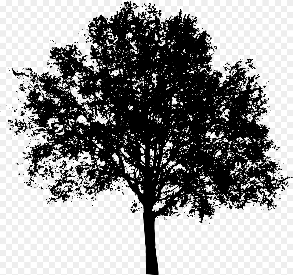 Tree Shadow Silhouette Tree Vector, Gray Free Png Download