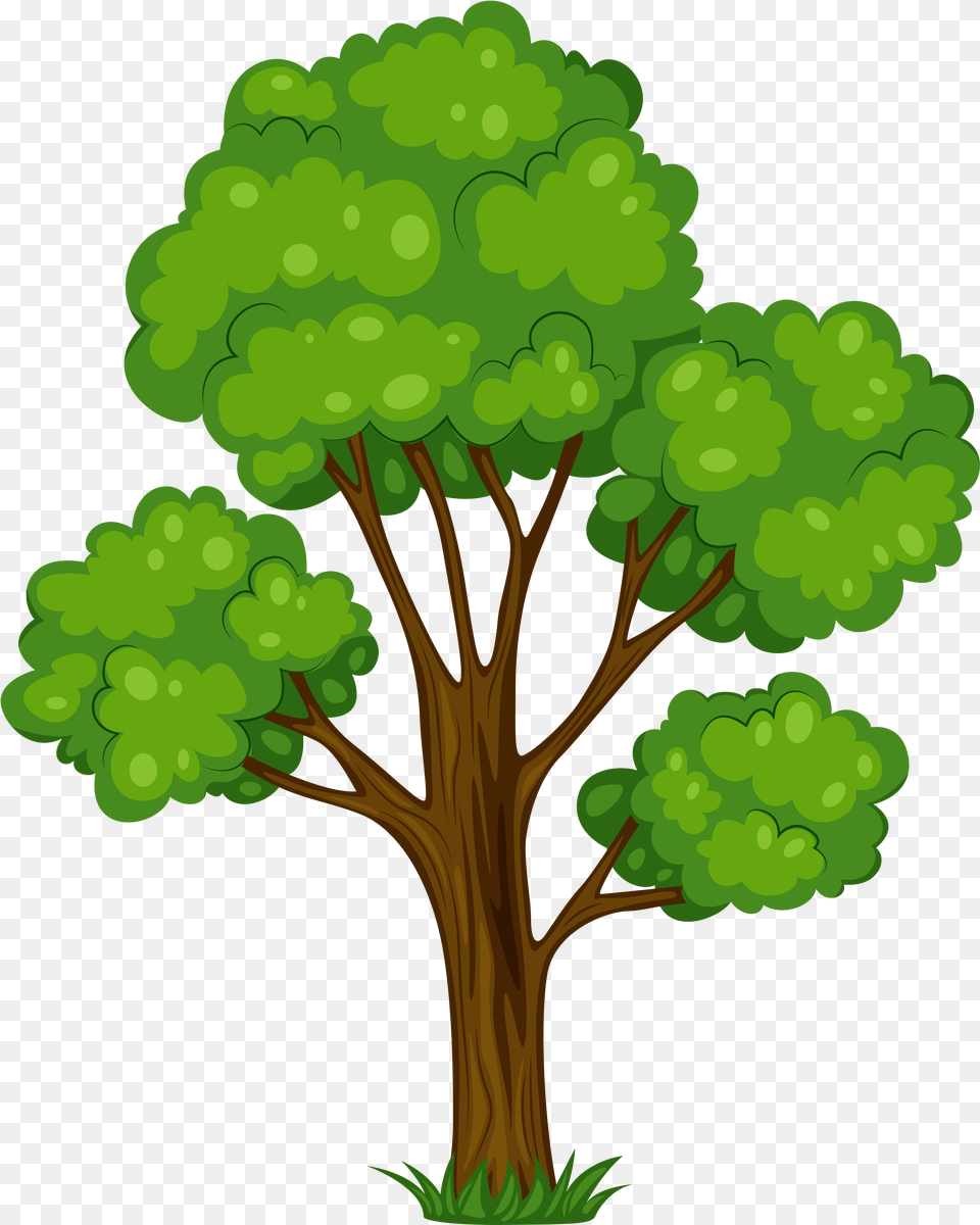 Tree Shrub Cartoon Clip Art Clipart Of Tree, Green, Plant, Vegetation, Cross Free Png Download