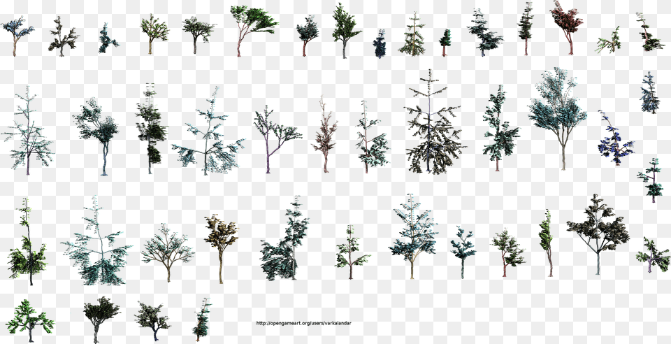 Tree Side View, Plant, Vegetation, Pattern, Outdoors Free Png Download
