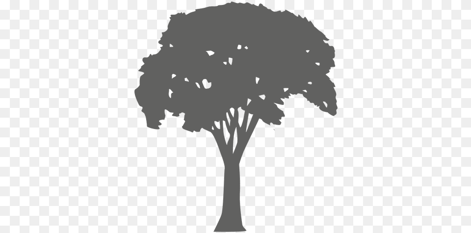 Tree Silhouette 13 Transparent U0026 Svg Vector File Silueta De Rbol, Plant, Adult, Wedding, Person Free Png